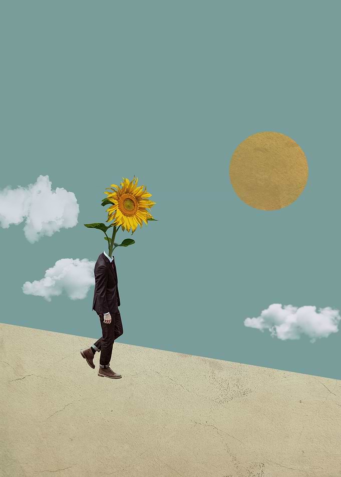 Towards the Sun