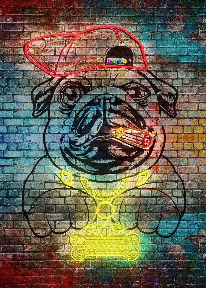 Pug hip hop style