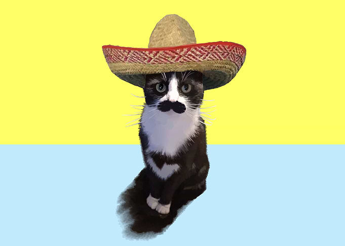 Sombrero Cat