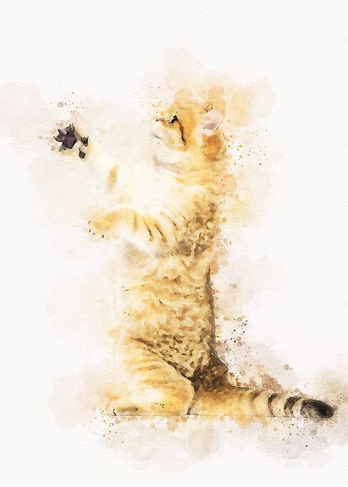 Vintage Cat Watercolor