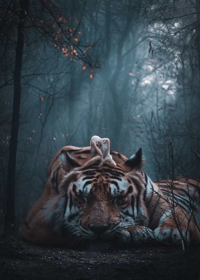 Mind of a Beast