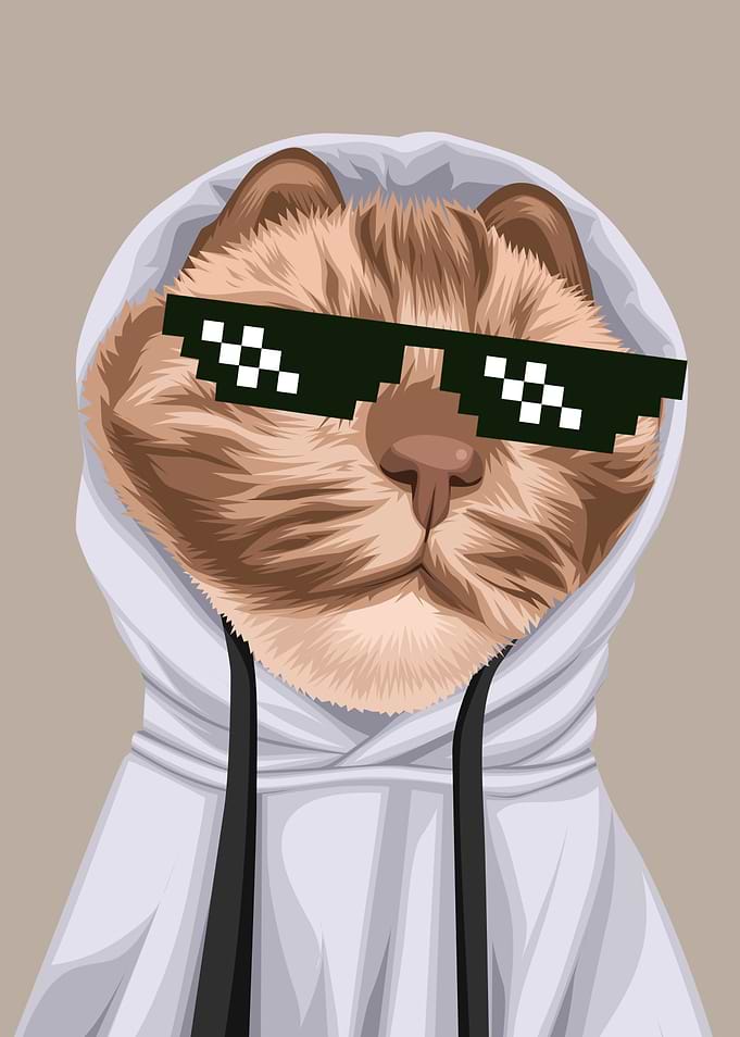 Quirky hoodie cat