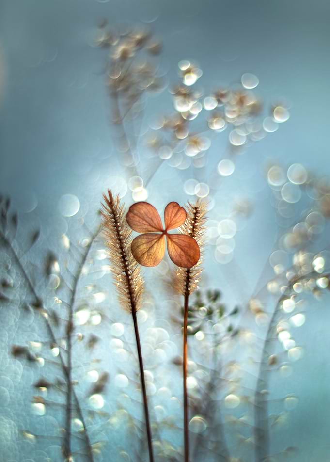 Autumn impression