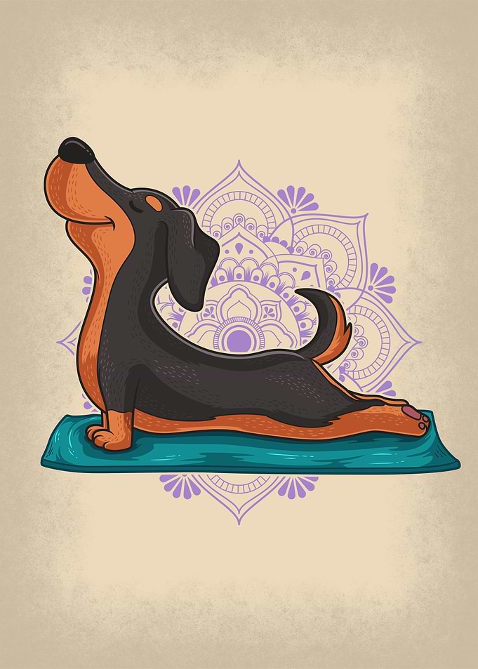 Anime Yoga Dachshund