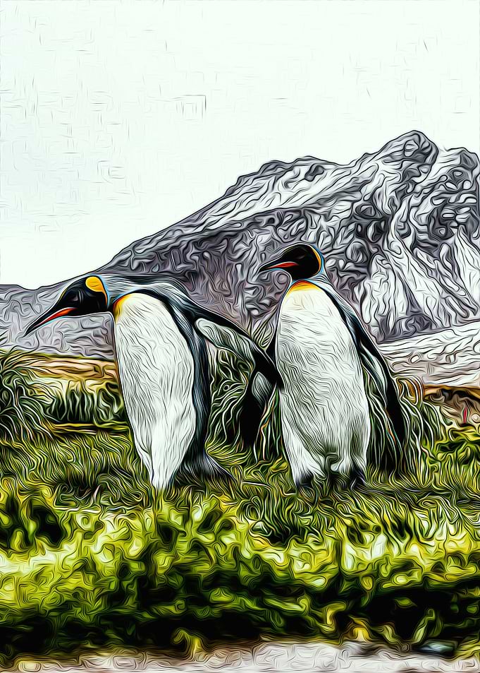 Penguin