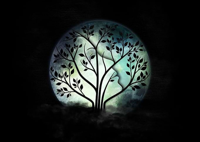 Moon illusions