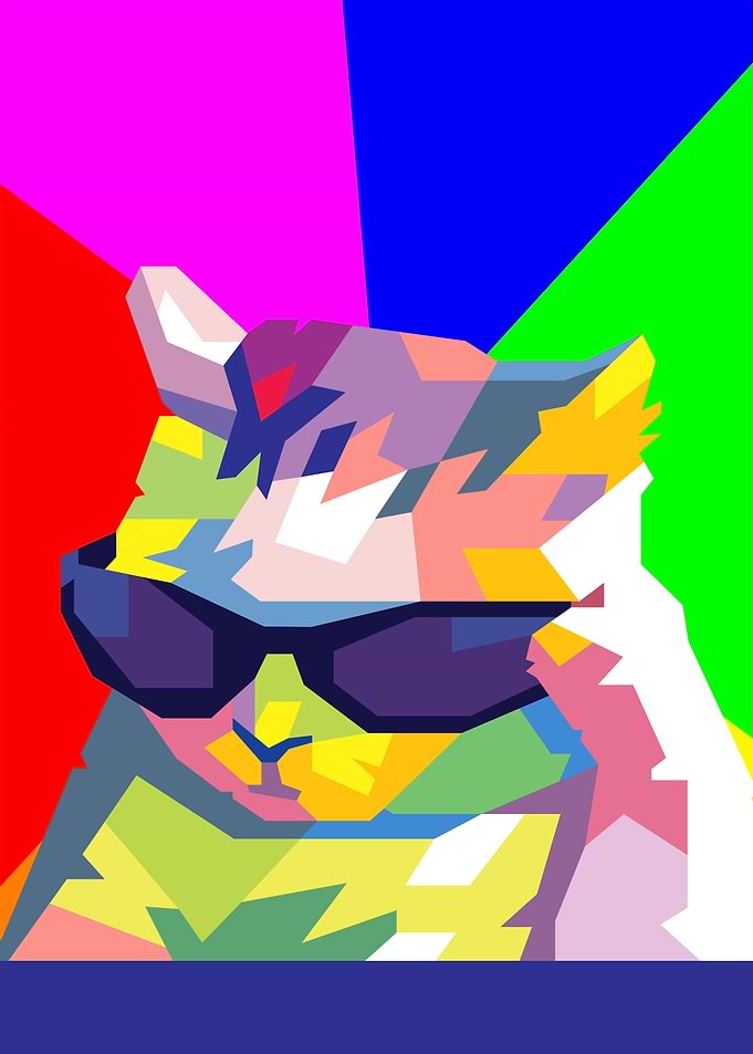 cool cat meme
