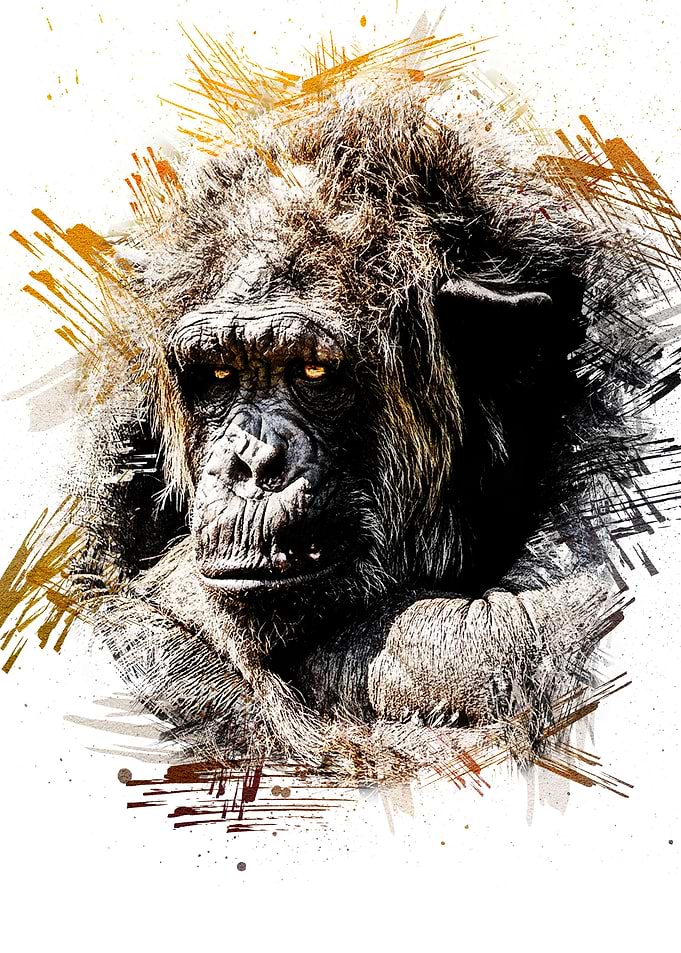 Cute Gorilla Paintings