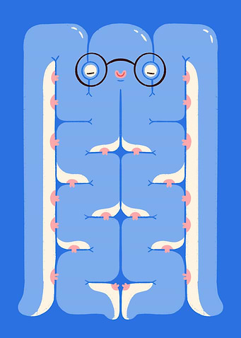 The Studious Octopus