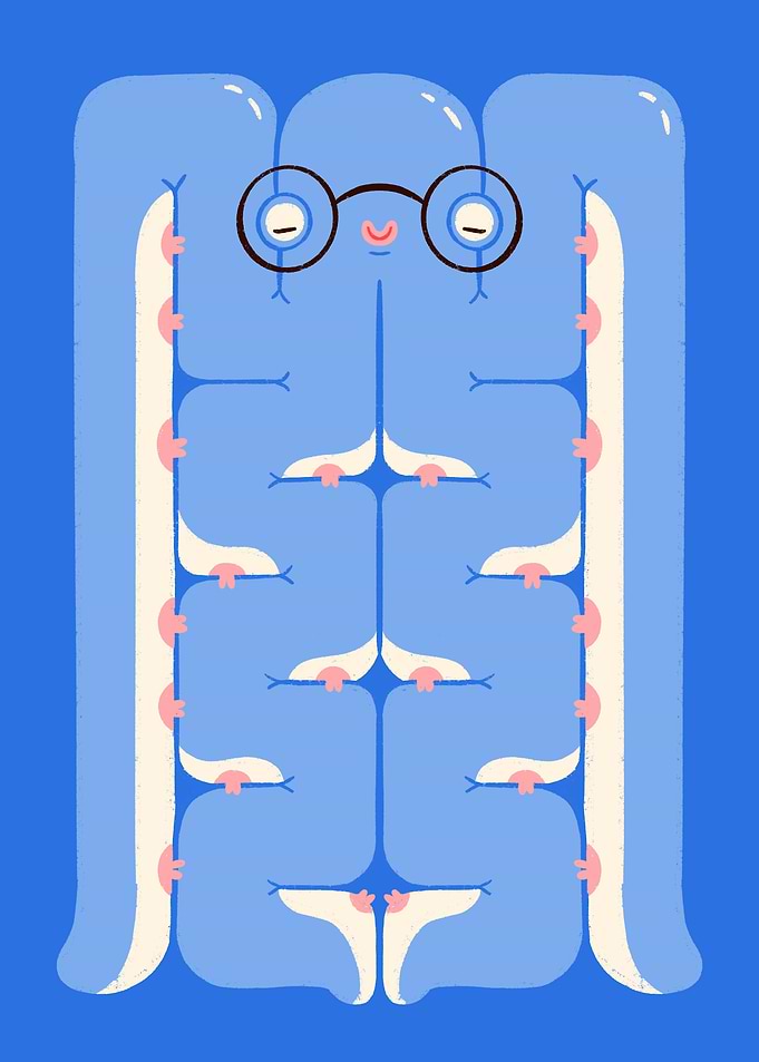 The Studious Octopus