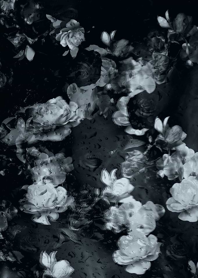 Abstract garden
