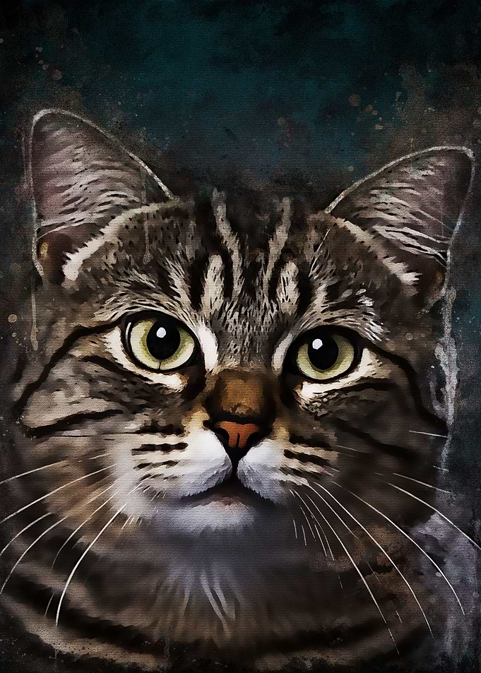 Splatter Cat