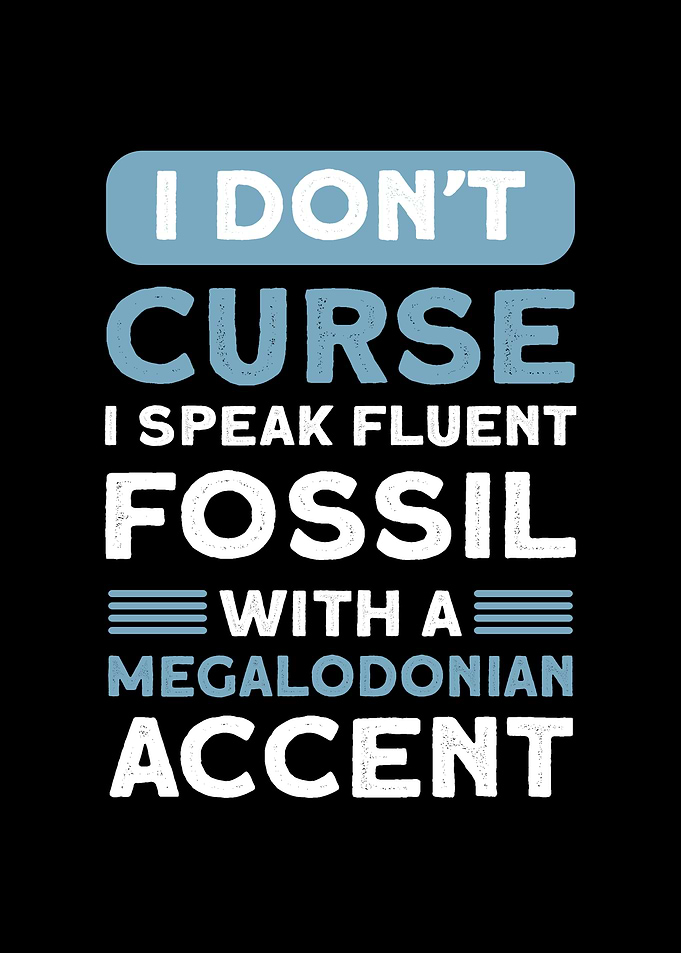 Megalodon Tooth Hunting