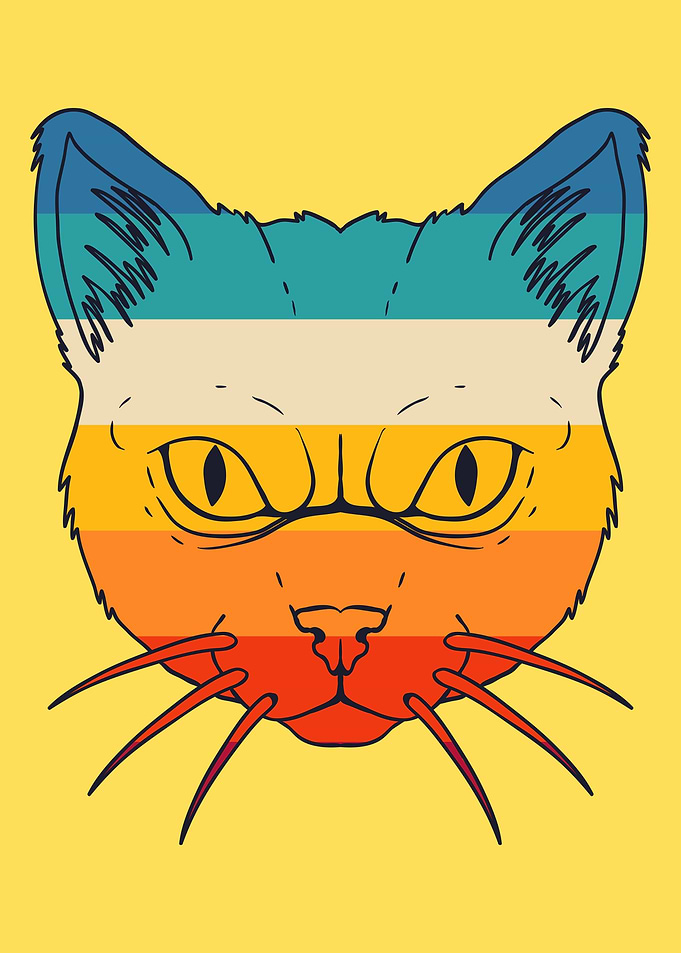 Funny Cat
