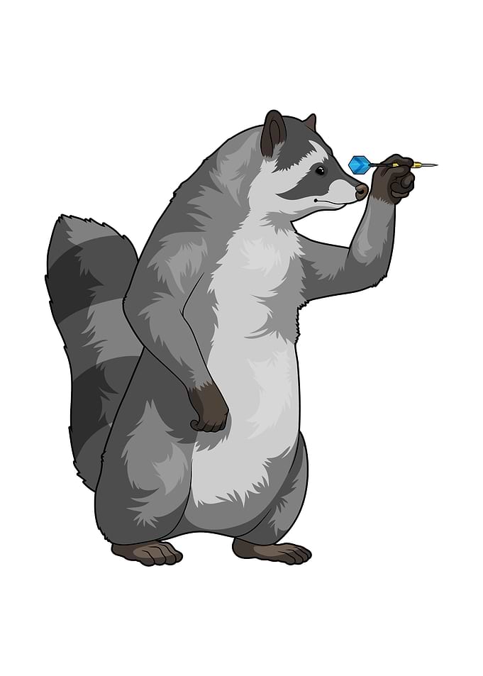 Racoon Darts Dart