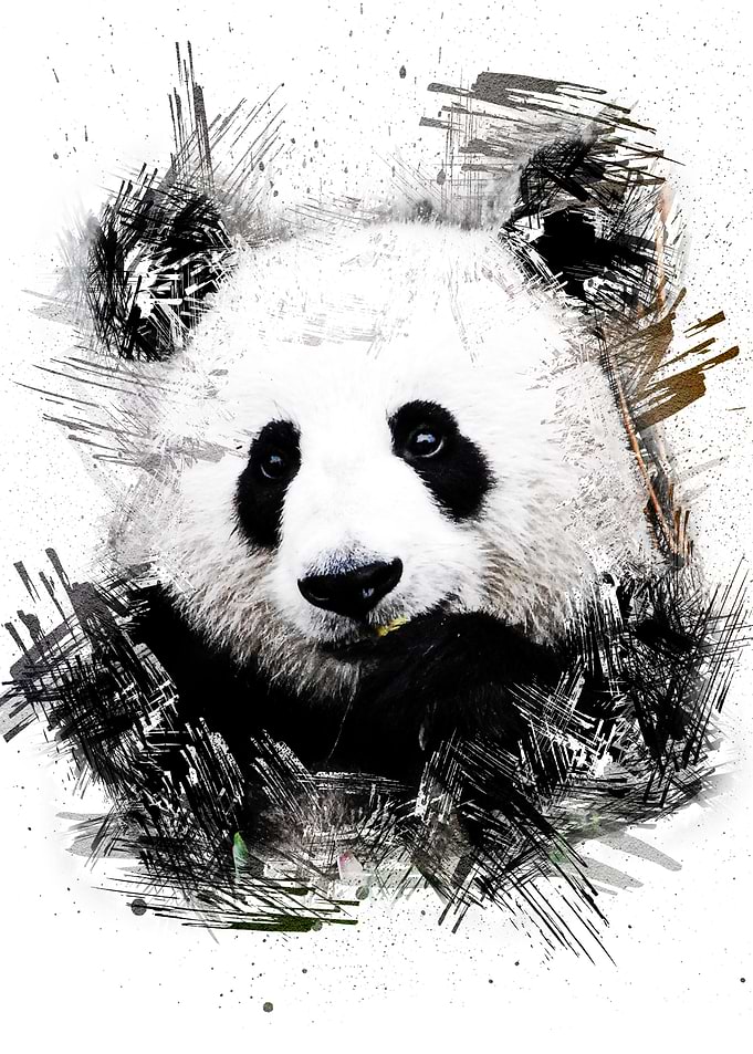 Cute Panda Paintings