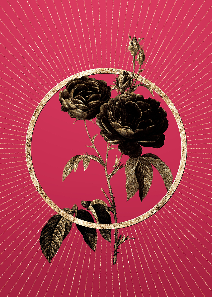 Viva Magenta Purple Roses