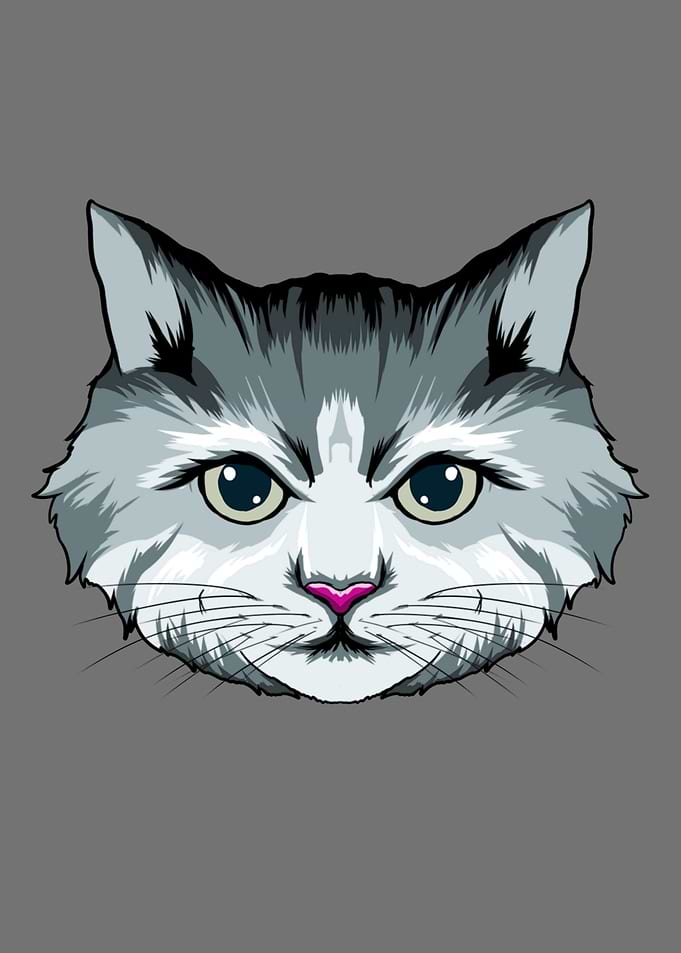 Funny Cute Cat