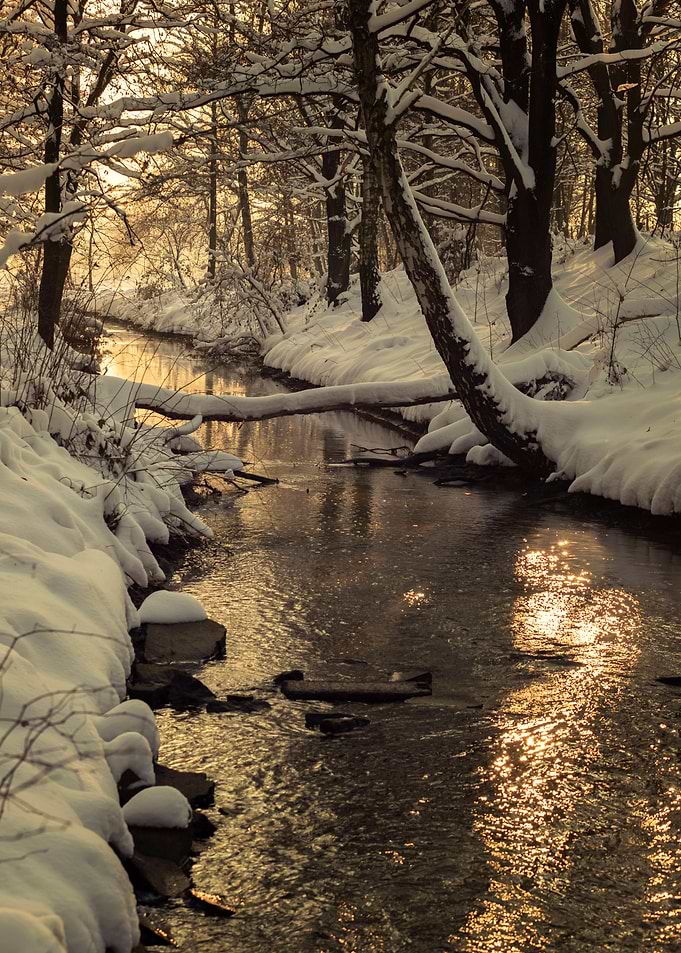 Winter wild river, Poland