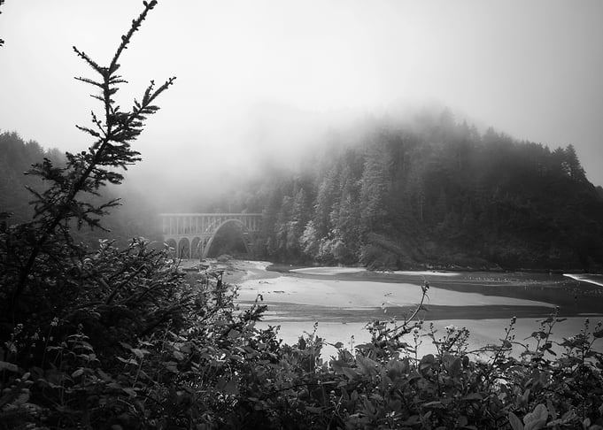 Oregon Coast Landscape