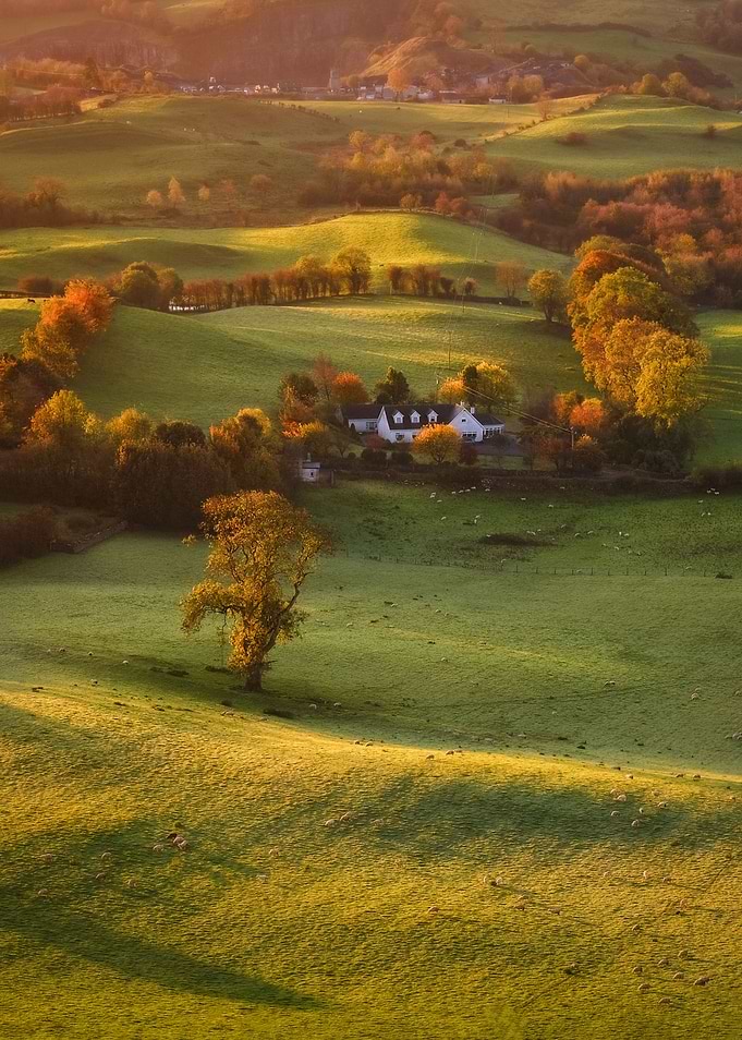 Rural Irish scape