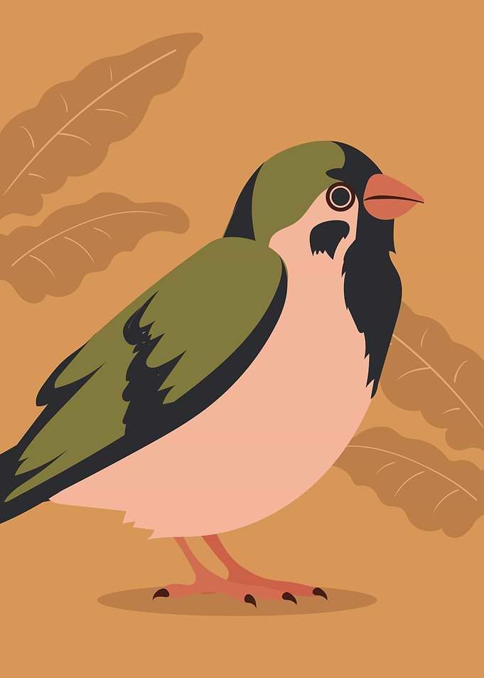 Nature Cute Sparrow Bird