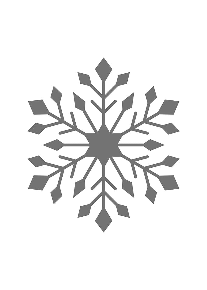 Grey White Snowflake