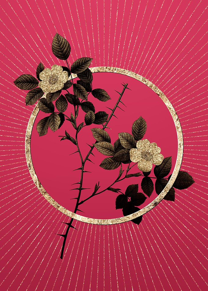 Gold Spiny Rose of Dematra