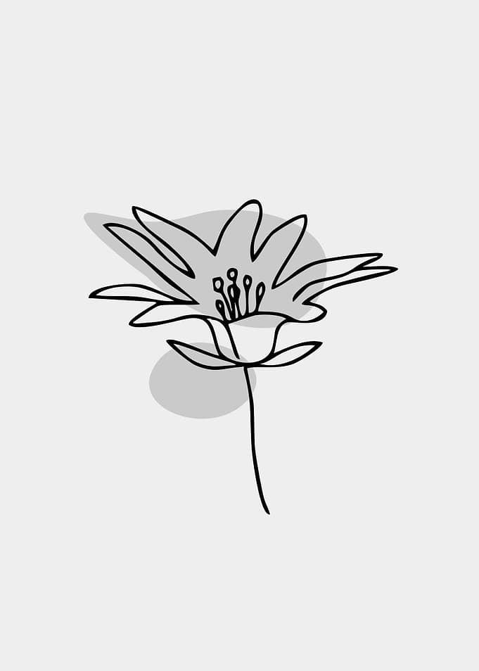line art single floral