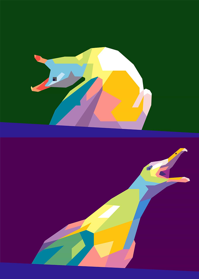 seagull meme
