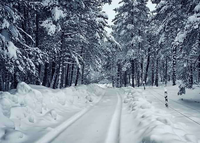 Winter Landscape