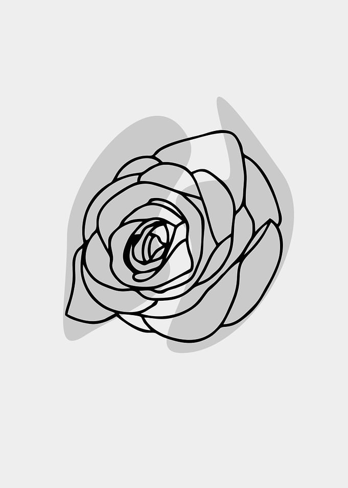 handrawn rose line art