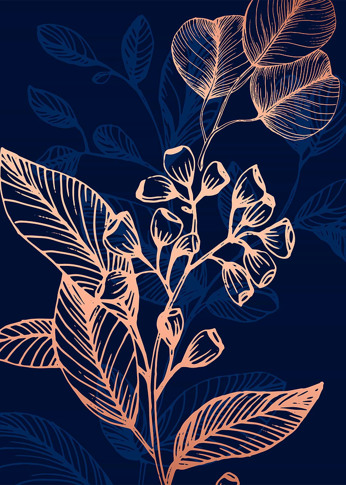Eucalyptus Minimalist