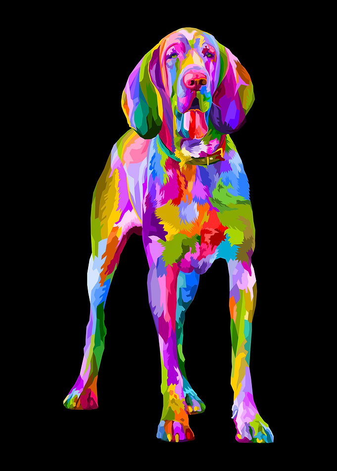 Colorful bloodhound dog