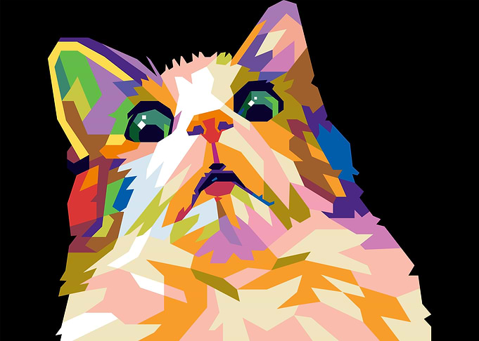 scared cat meme