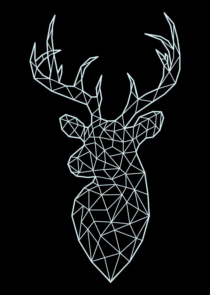 Geometric Animal 5