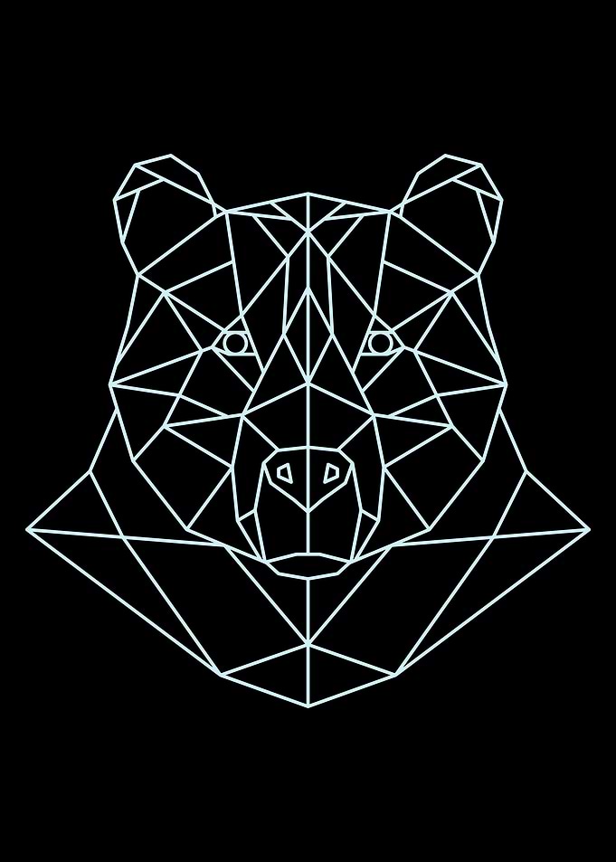 Geometric Animal 7