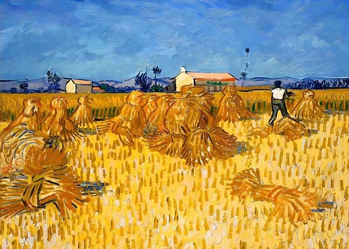 Harvest in Provence