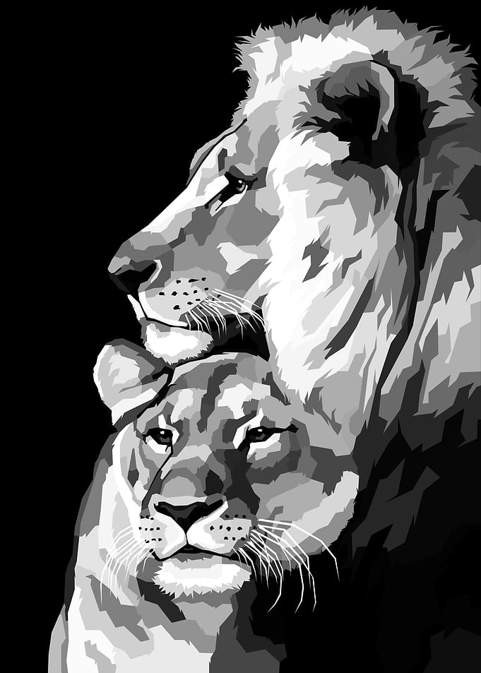 Lion Black and white