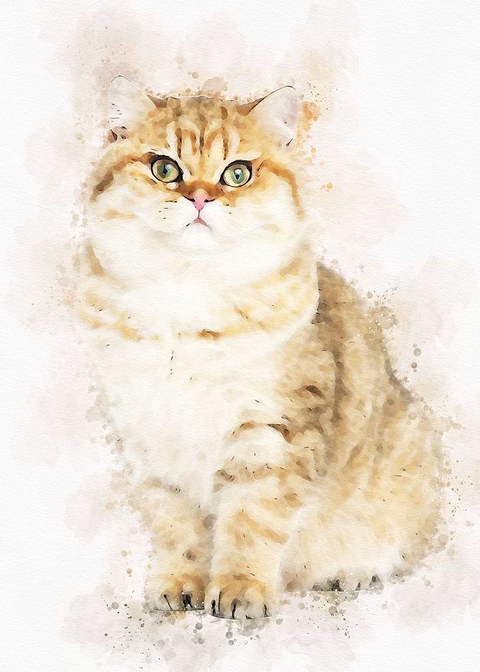 Vintage Cat Watercolor