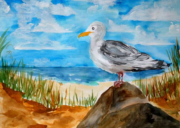 Seagull at the Beach