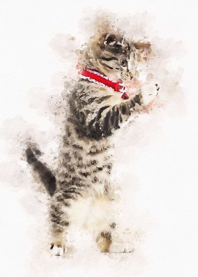 Vintage Cat Watercolor