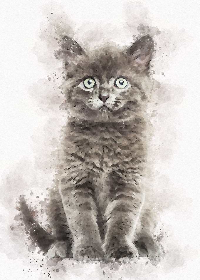 Vintage Cat Watercolor