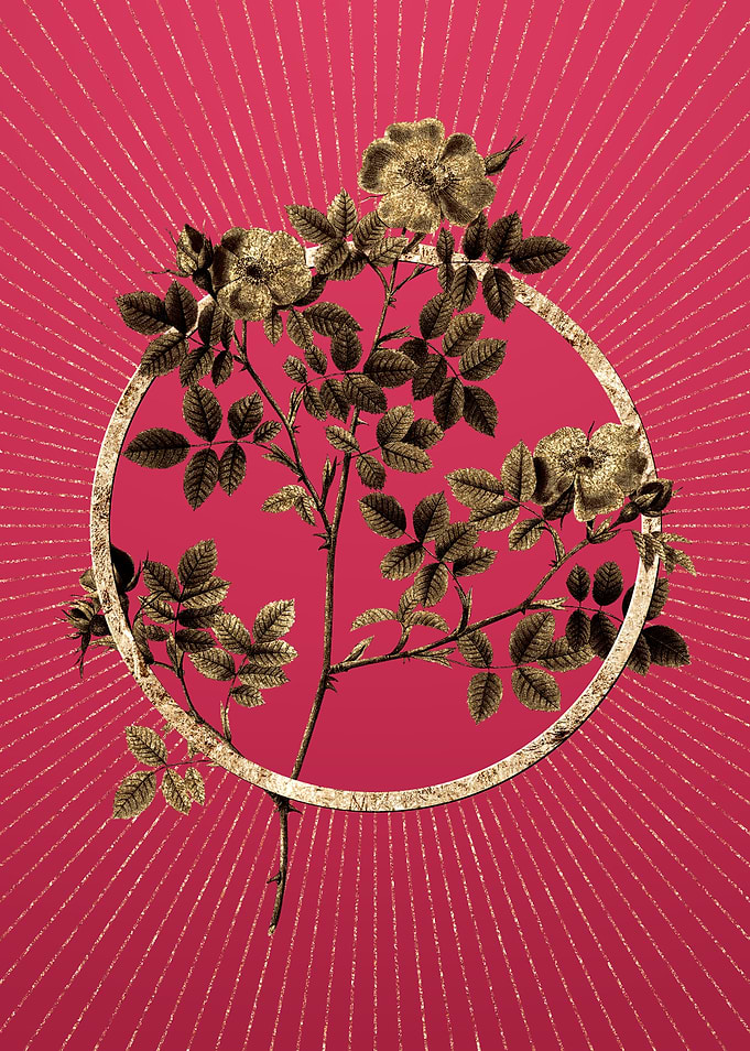 Viva Magenta Rose Corymb