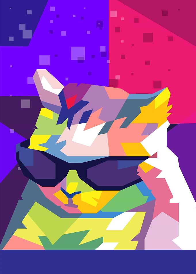 cool cat meme