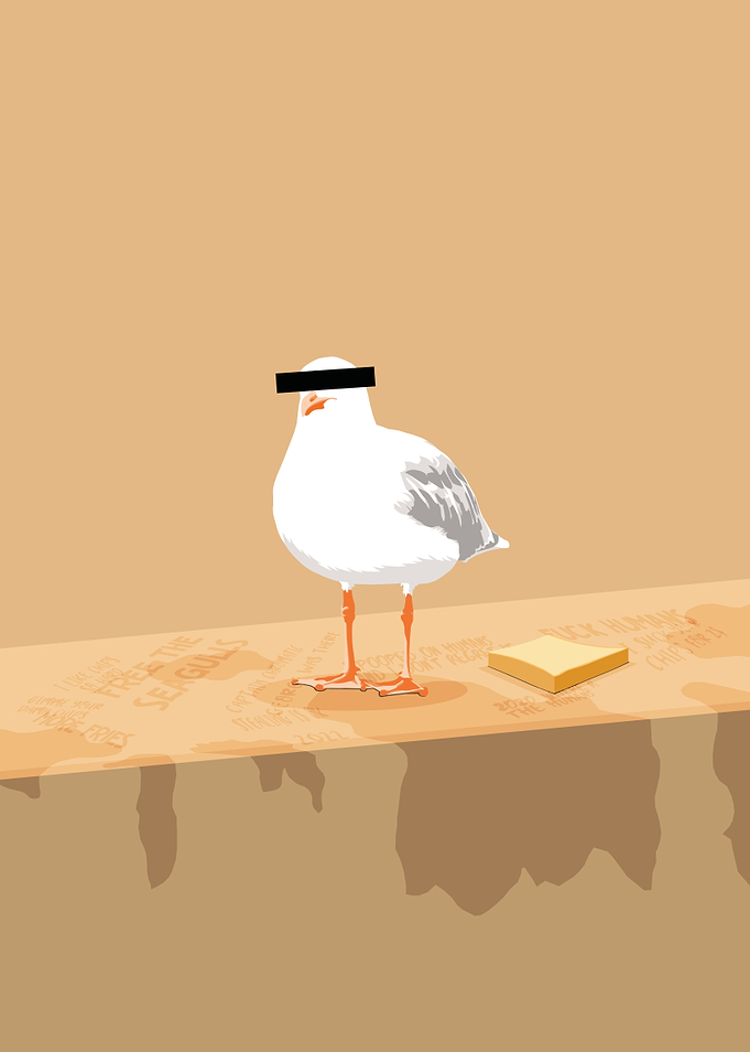 Seagull thief