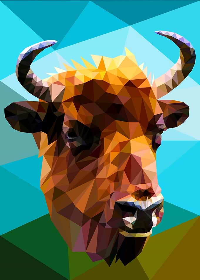 Bison