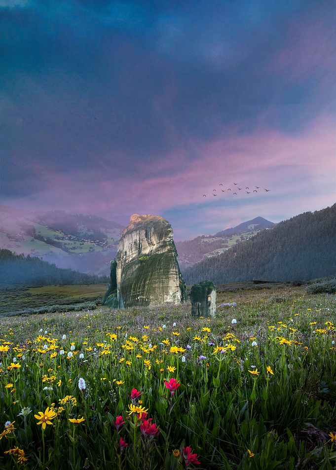 Flower Fields