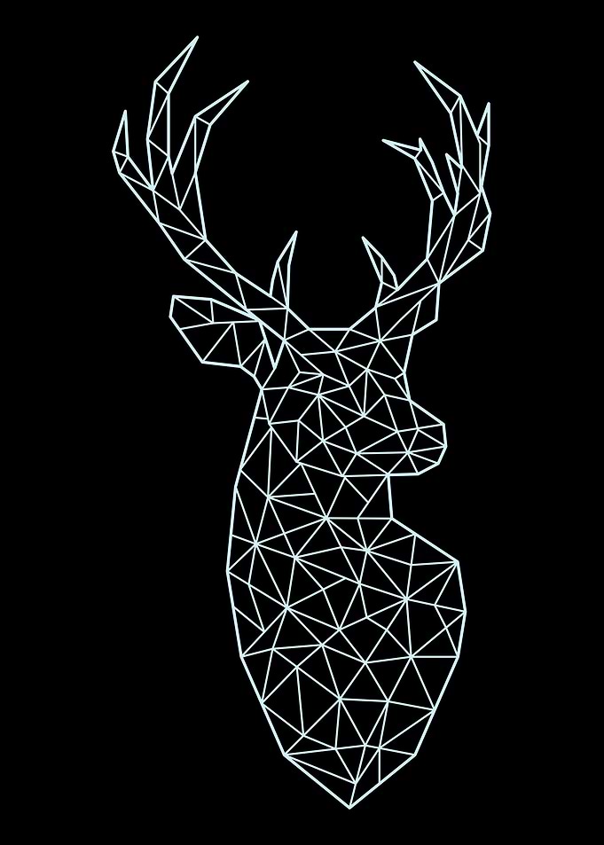 Geometric Animal 4