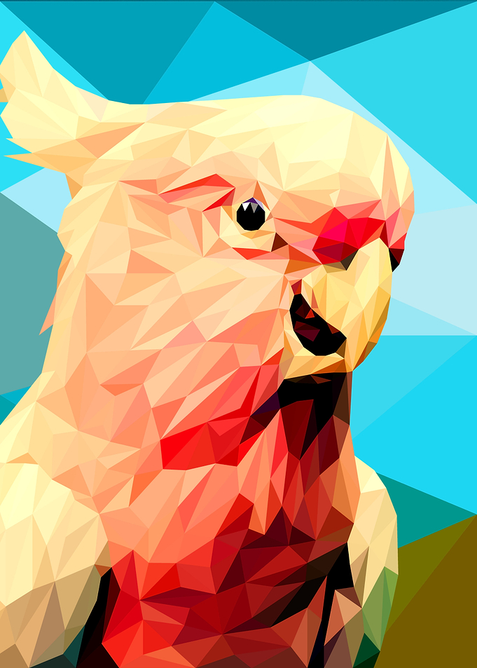 Cockatoo
